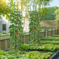 2-Pack Garden Trellis Tomato Cage with Adjustable Height-Green