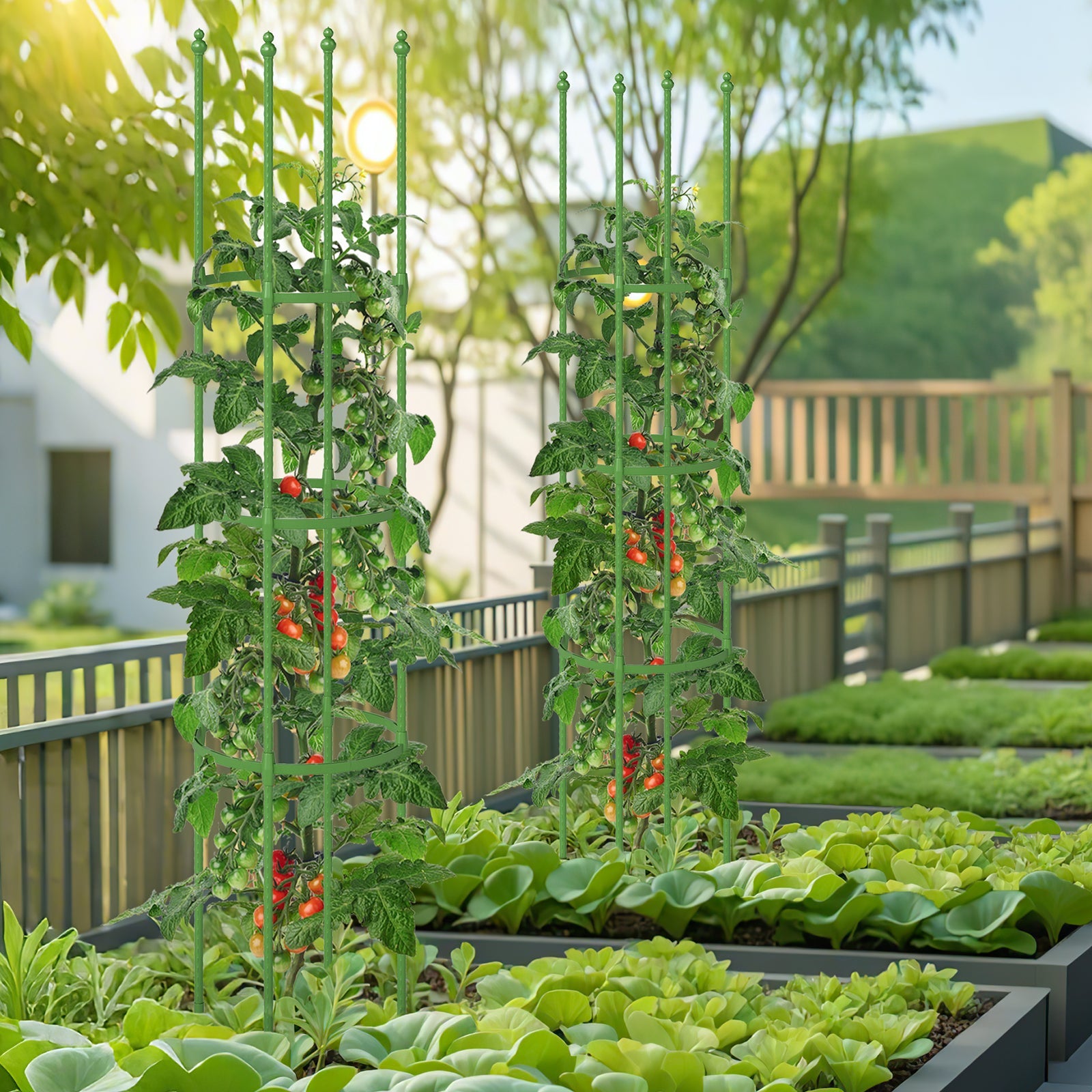 2-Pack Garden Trellis Tomato Cage with Adjustable Height-Green