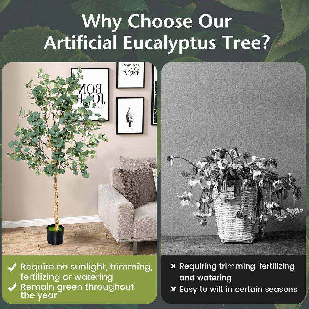 5.5 Feet Artificial Eucalyptus Tree with 517 Silver Dollar Leaves-2 Pack
