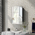 20 x30 Inch Multi-Functional Bathroom Mirror Cabinet with Adjustable Shelves-Black